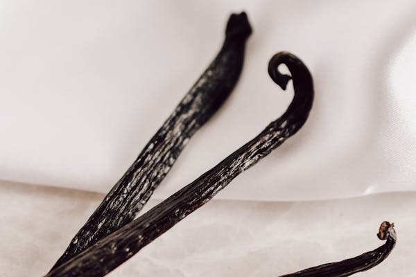 Madagascar Bourbon vanilla beans - slow-cured premium vanilla pods